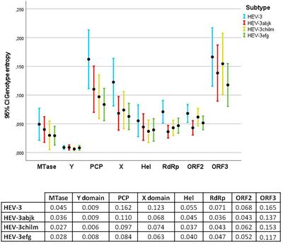 Hepatitis E genotype 3 genome: A comprehensive analysis of entropy, motif conservation, relevant mutations, and clade-associated polymorphisms